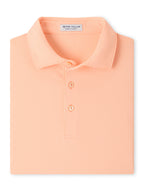 Peter Millar - Men's Jubilee Stripe Performance Jersey Polo (Spring)