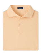 Peter Millar - Men's Soul Performance Mesh Polo (Spring)