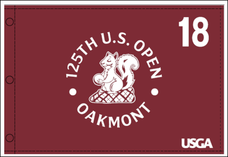 Screened Pin Flag